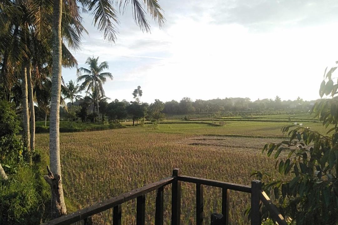 Photo of Others in Batukliang