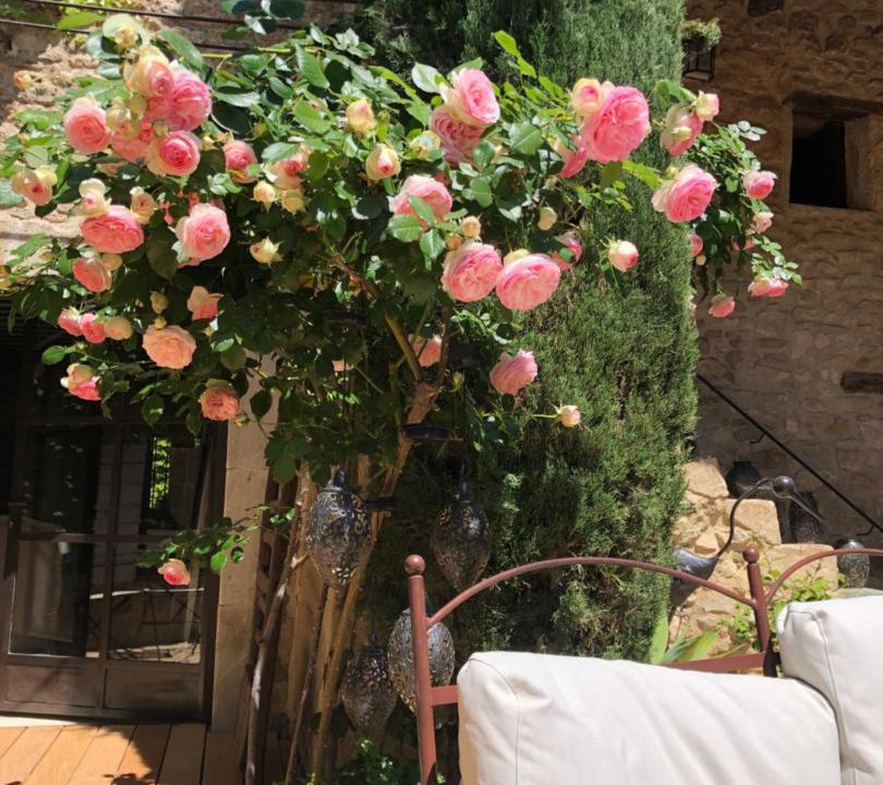 Photo of Others in Maubec