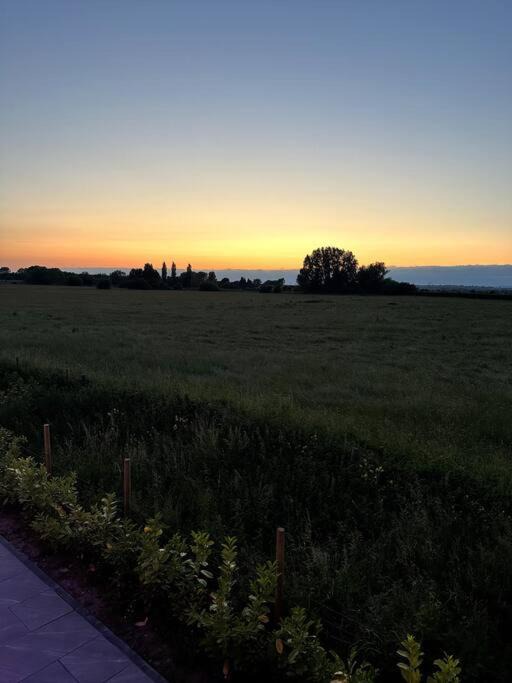 Photo of Outdoor in Street