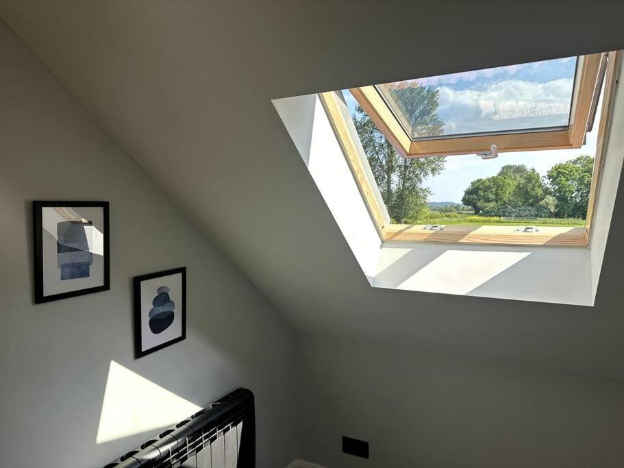 Photo of Others in Street