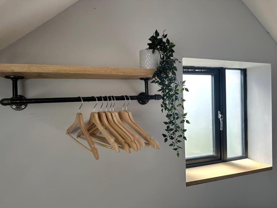 Photo of Others in Street