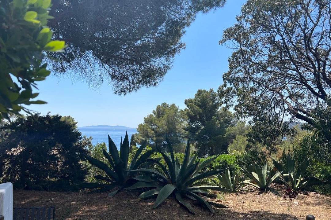 Photo of Others in Rayol-Canadel-sur-Mer