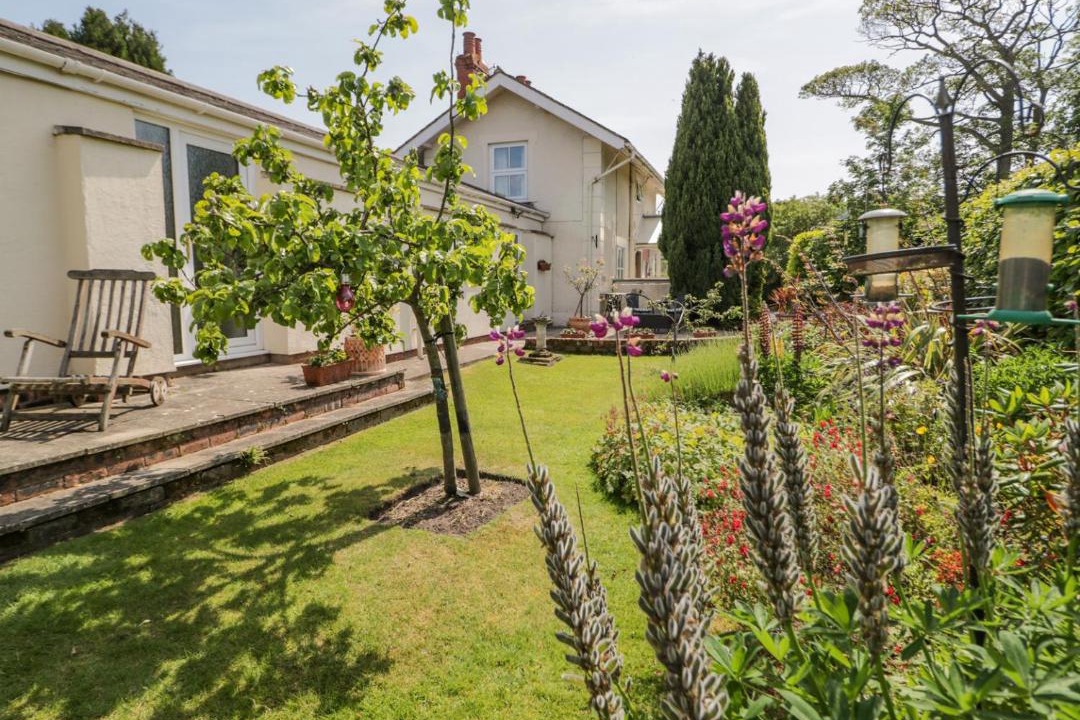 Photo of Others in Treffynnon