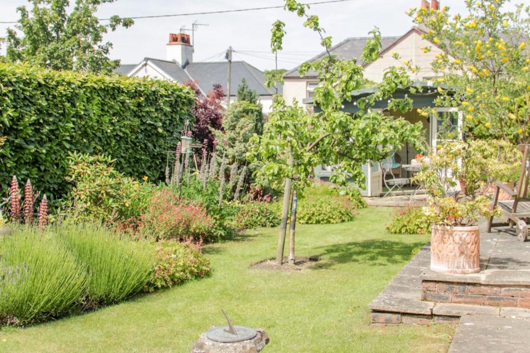 Photo of Others in Treffynnon