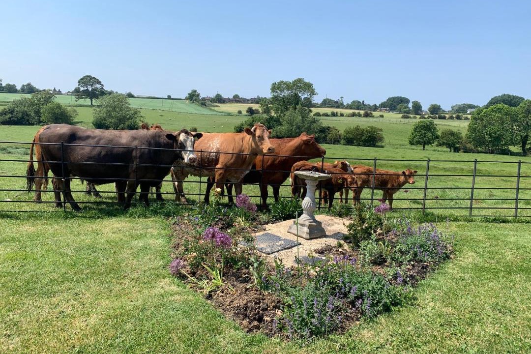 Photo of Others in Buckingham