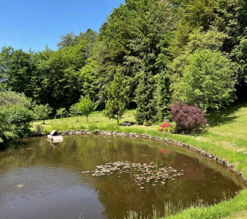 Photo of Others in Saint-Nabord