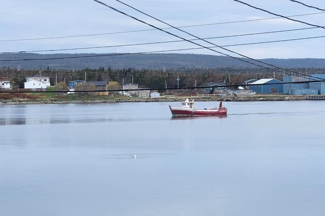 Photo of Others in Port Union