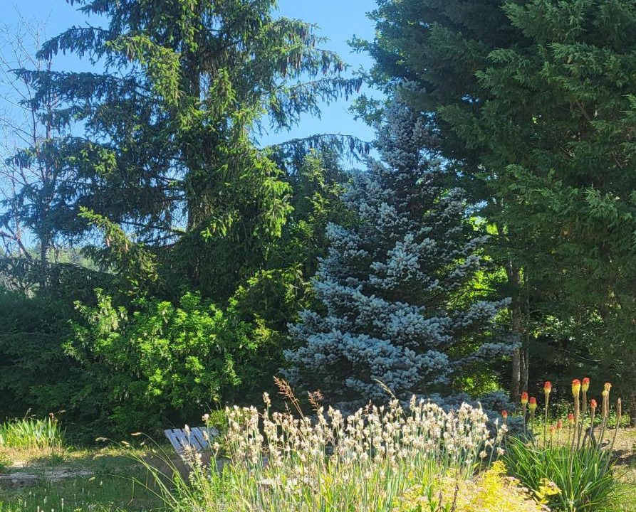 Photo of Outdoor in Curel