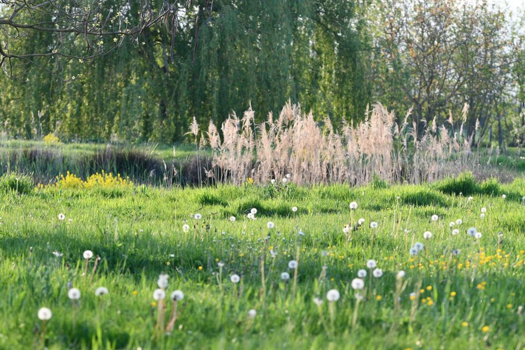 Photo of Others in Saint-Nizier-le-Desert