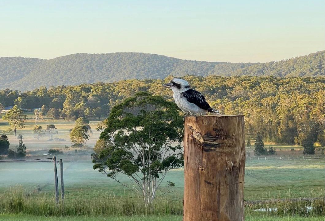 Photo of Others in Coomba Park