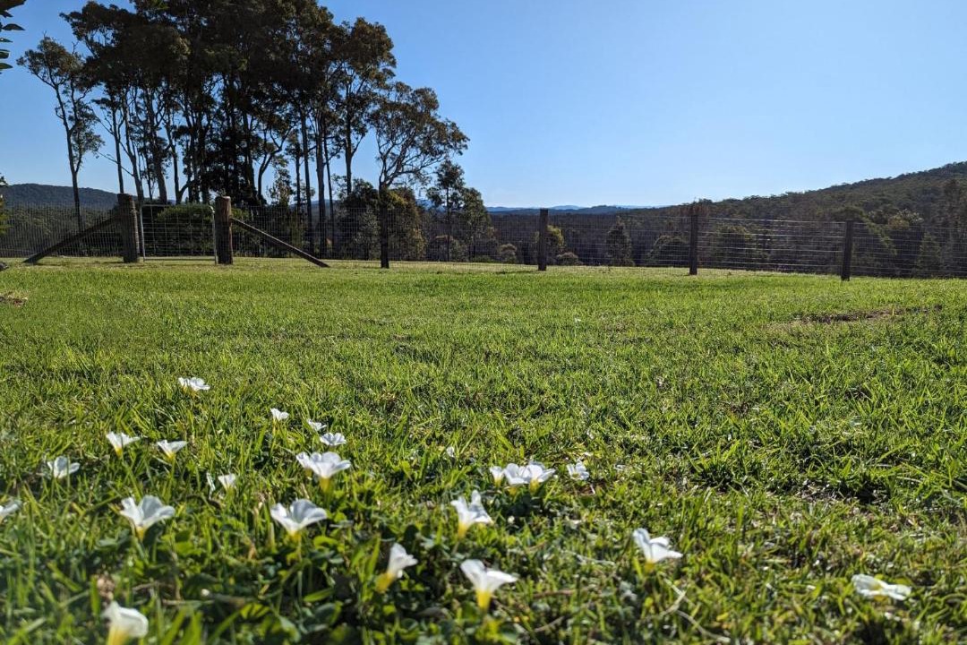 Photo of Outdoor in Coomba Park
