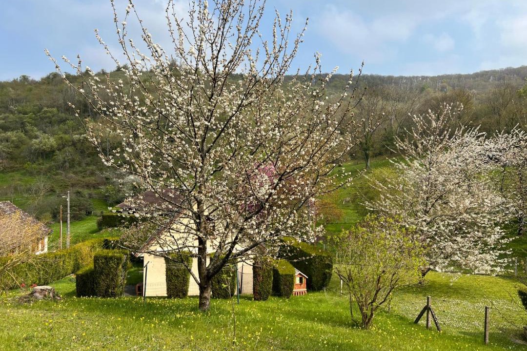 Photo of Others in Vezillon