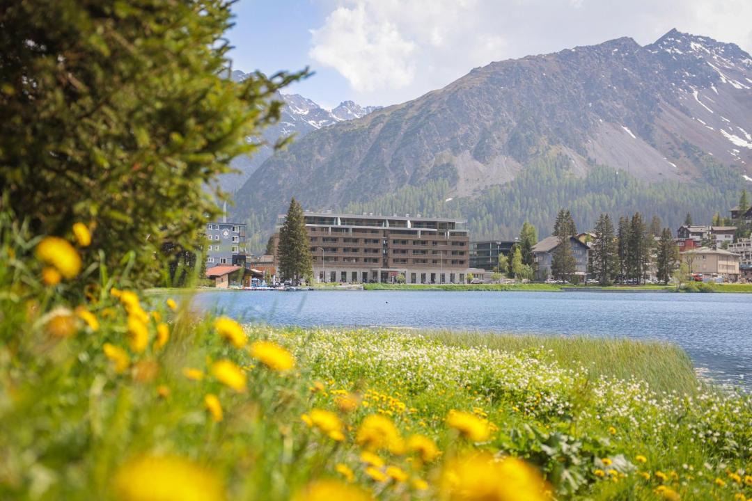Photo of Others in Arosa