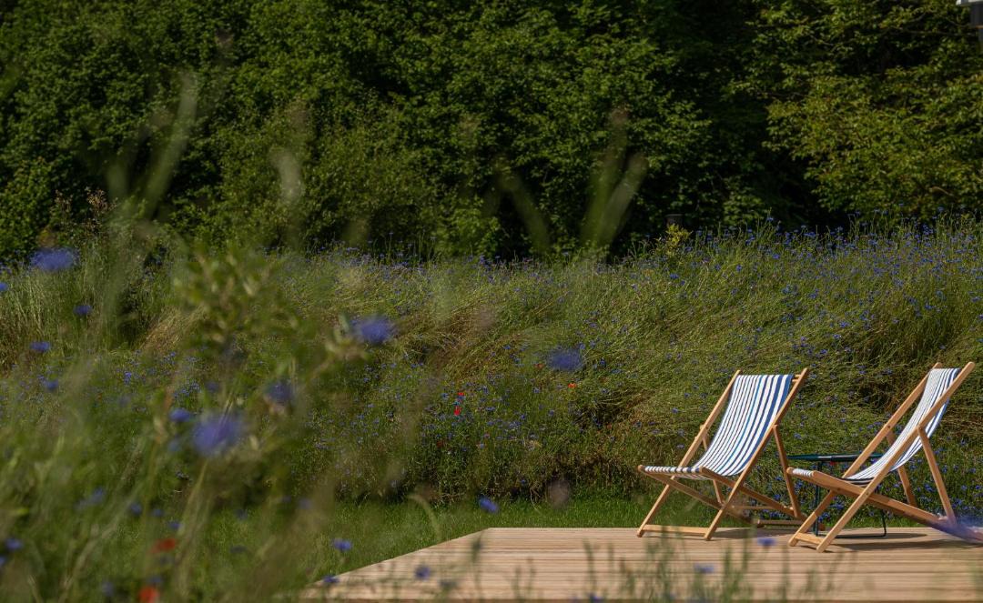 Photo of Others in Arette