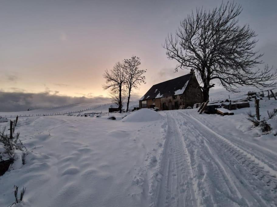 Photo of Others in Besse-et-Saint-Anastaise