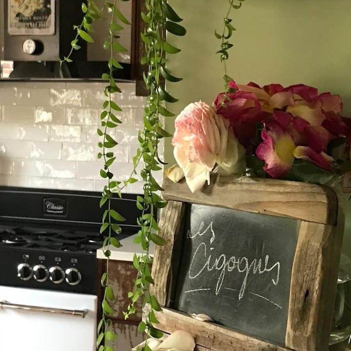 Photo of Others in Ande