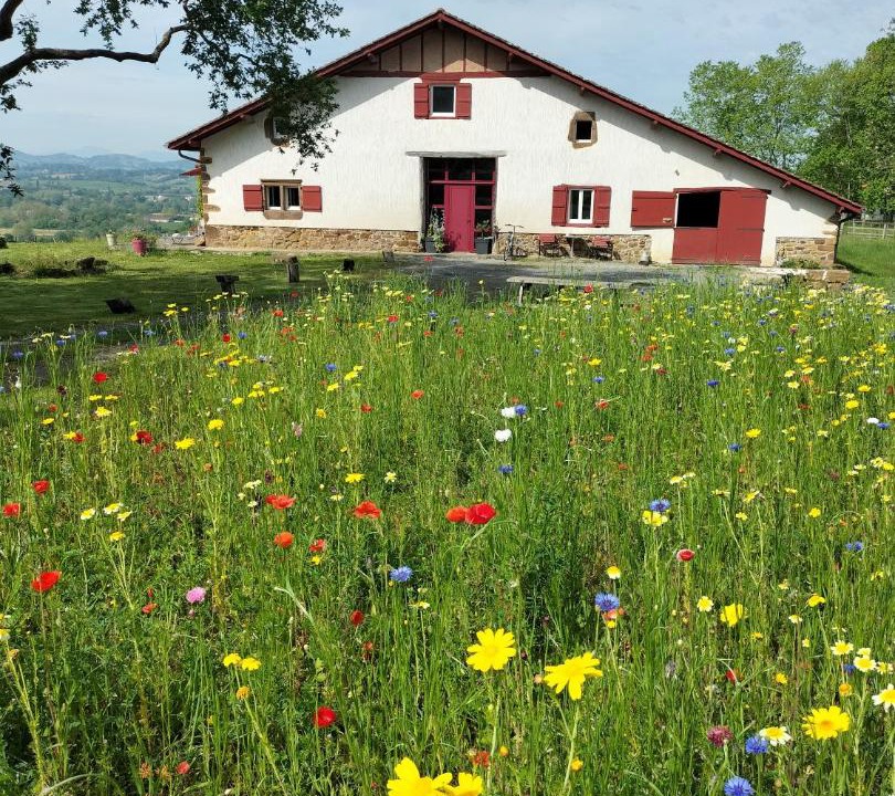 Photo of Others in Ilharre