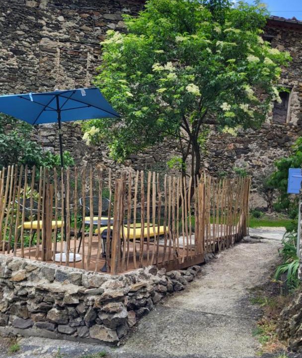 Photo of Others in Mars