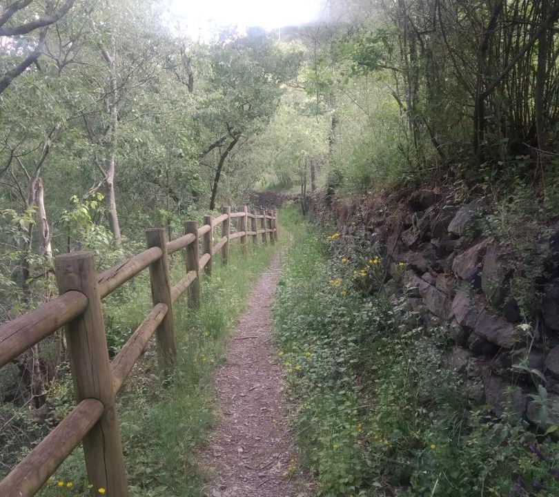 Photo of Outdoor in Sort