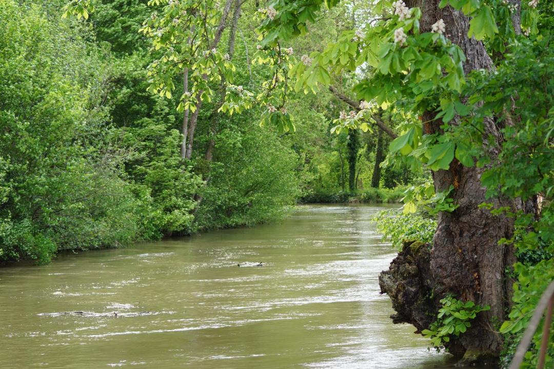 Photo of Others in Eclaron-Braucourt-Sainte-Liviere