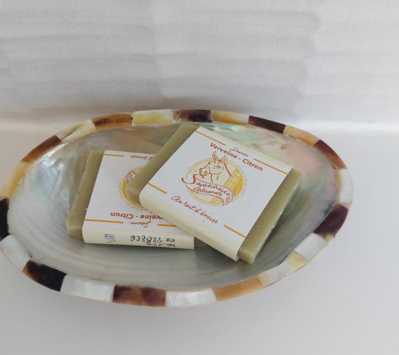 Photo of Others in Bayas