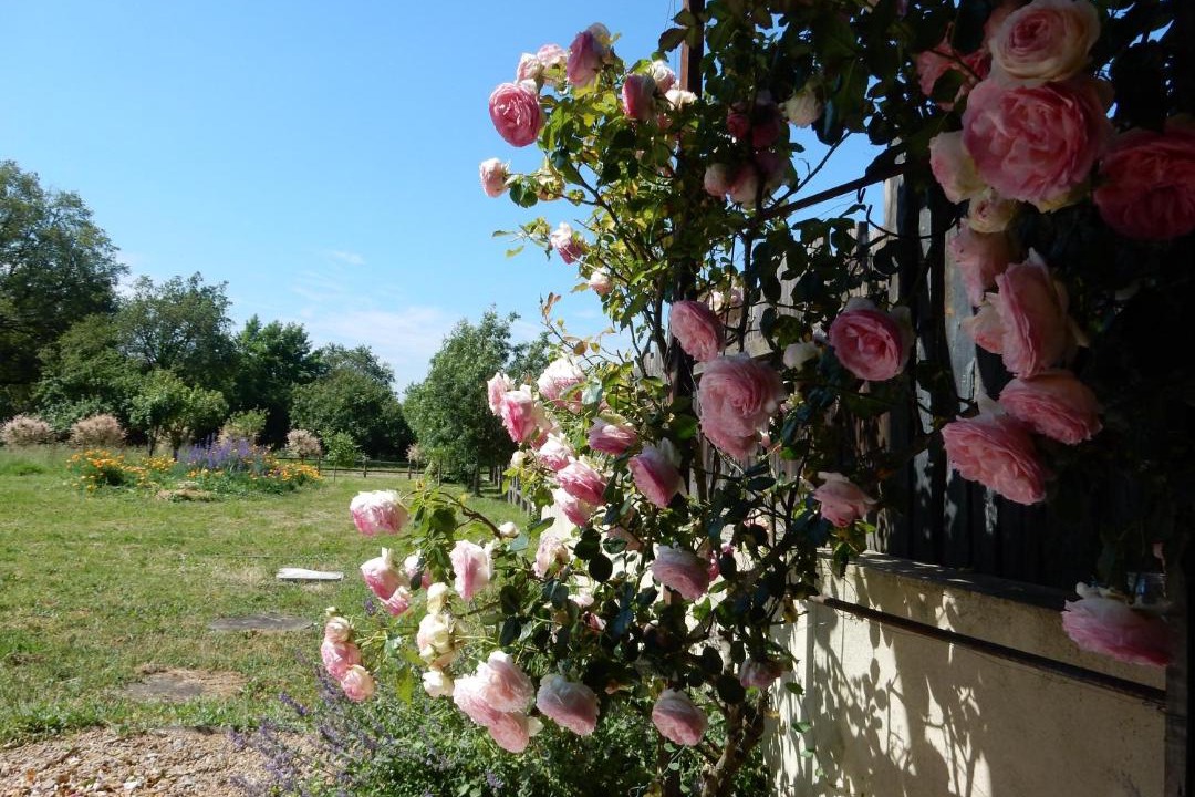 Photo of Others in Saint-Martin-du-Fouilloux