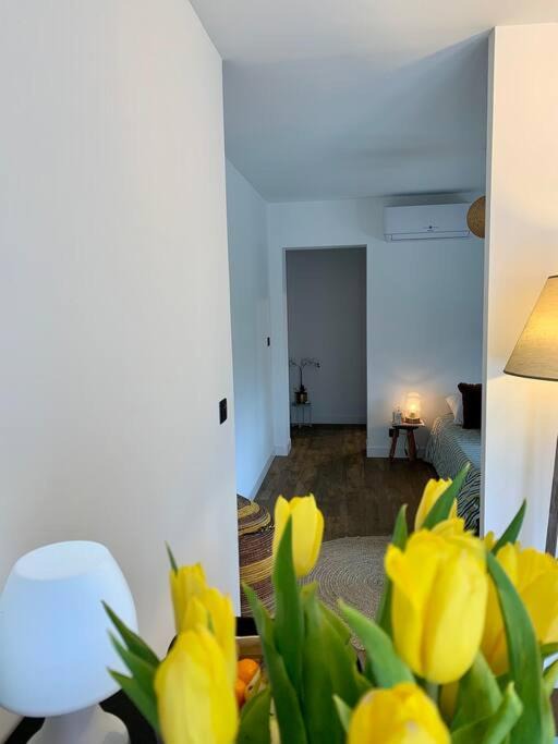 Photo of Livingroom in Parentis-en-Born