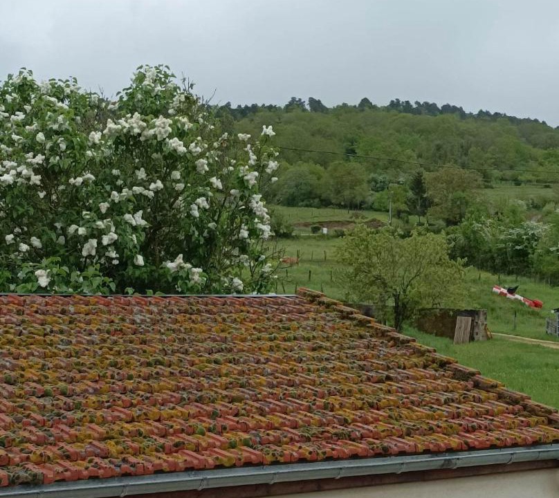 Photo of Others in Viserny