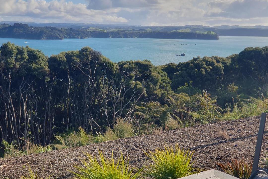 Photo of Others in Te Tii