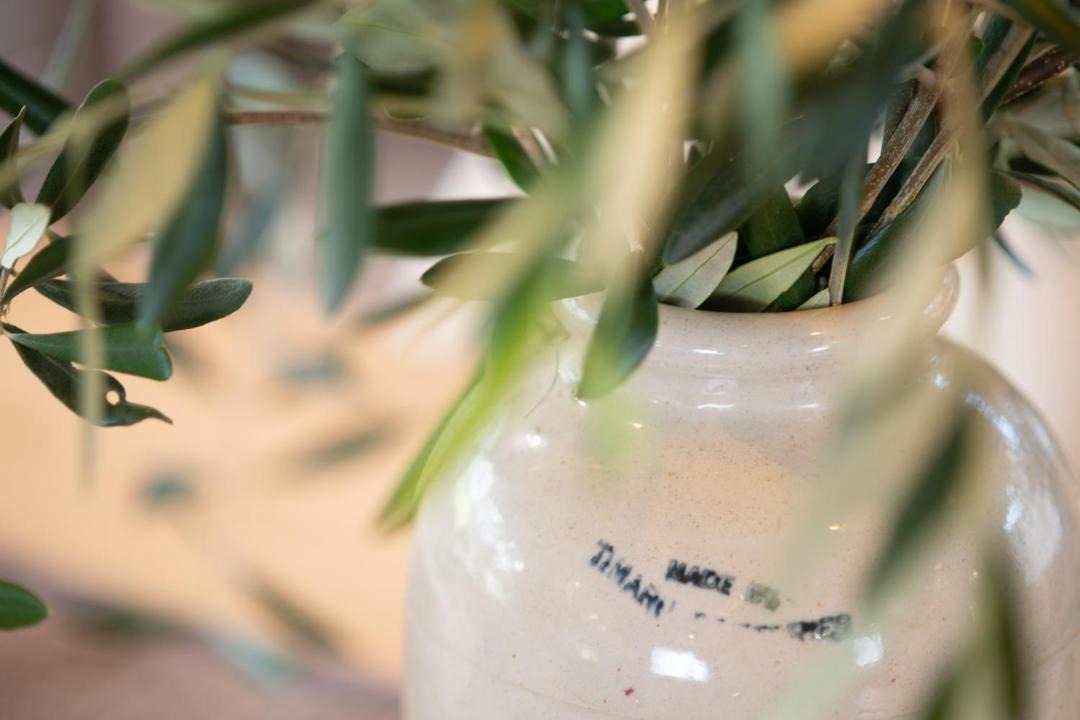 Photo of Others in Tararua Forest Park