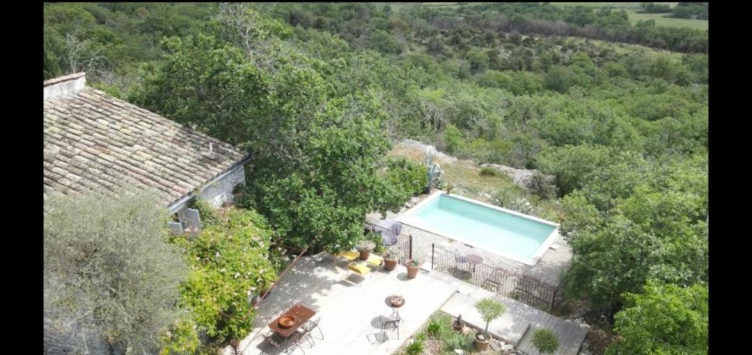 Photo of Others in Vogue