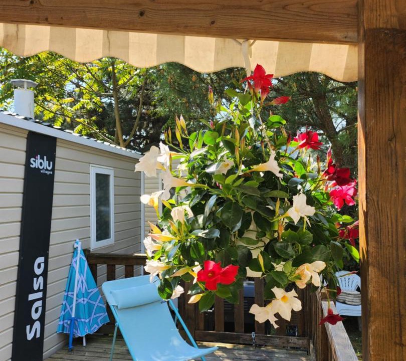 Photo of Others in Les Mathes