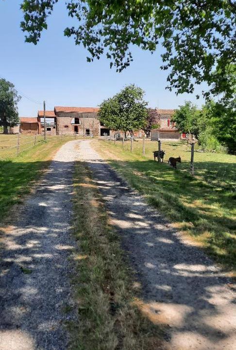 Photo of Others in Mazeres