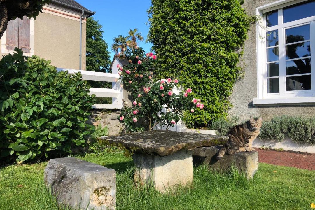 Photo of Others in Espoey