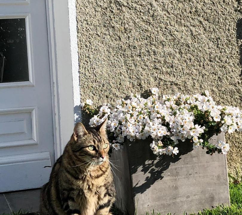 Photo of Others in Espoey