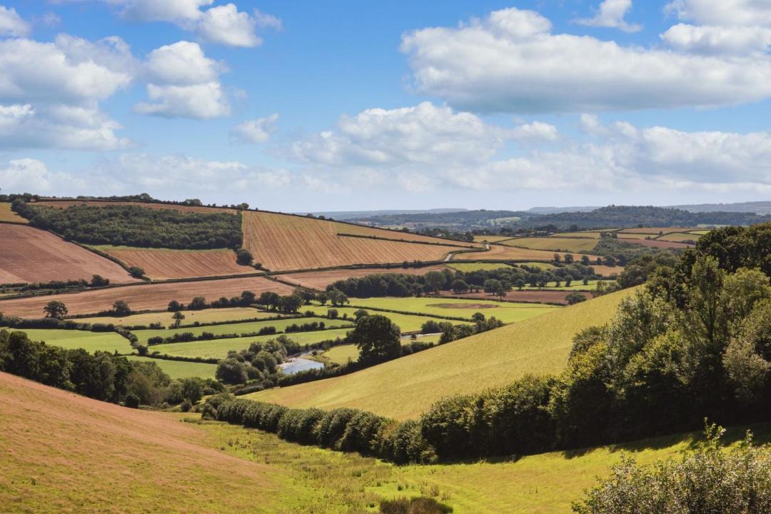 Photo of Buildings in Bradninch