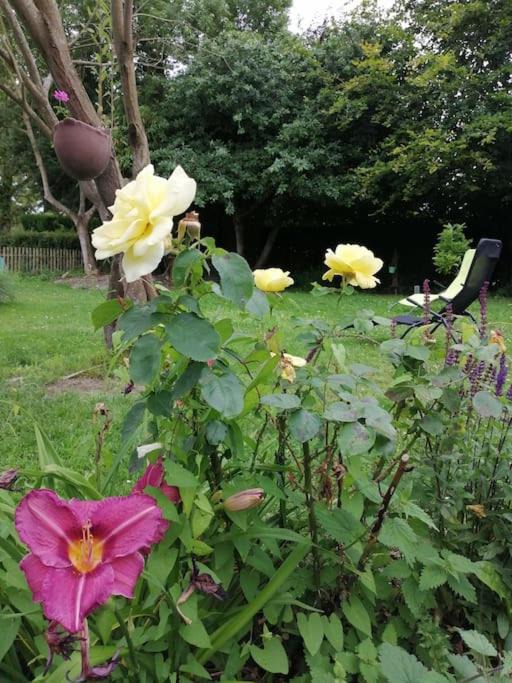 Photo of Others in Arrest