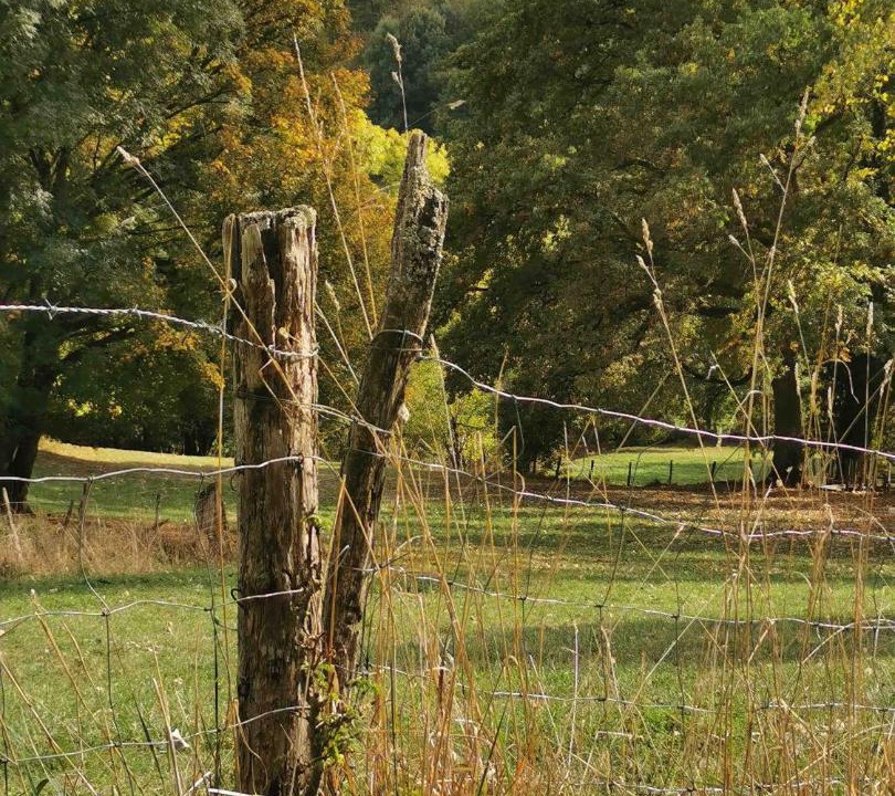 Photo of Others in Miers