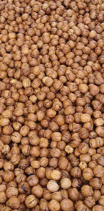 Photo of Others in Miers