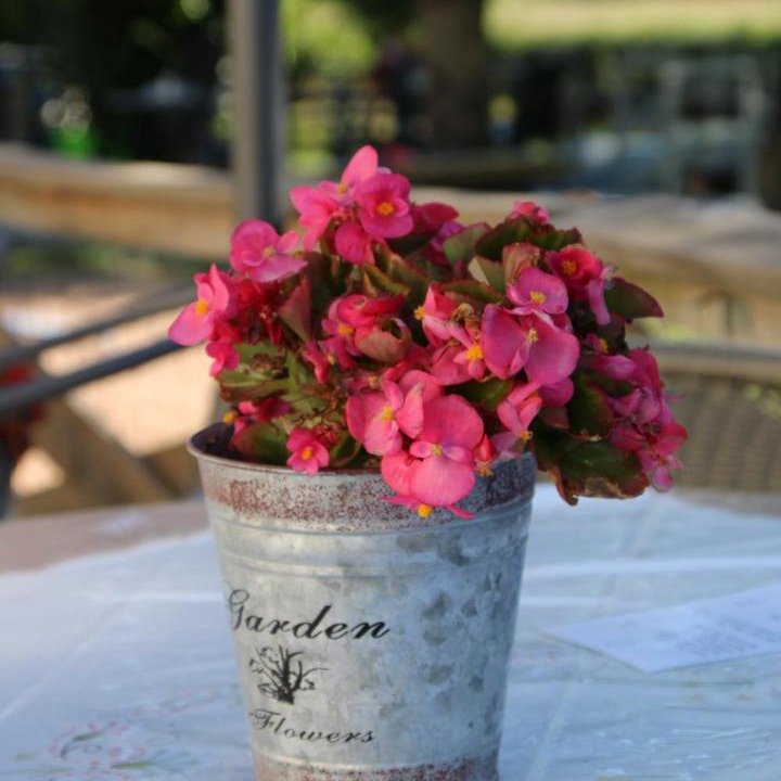 Photo of Others in Pionsat