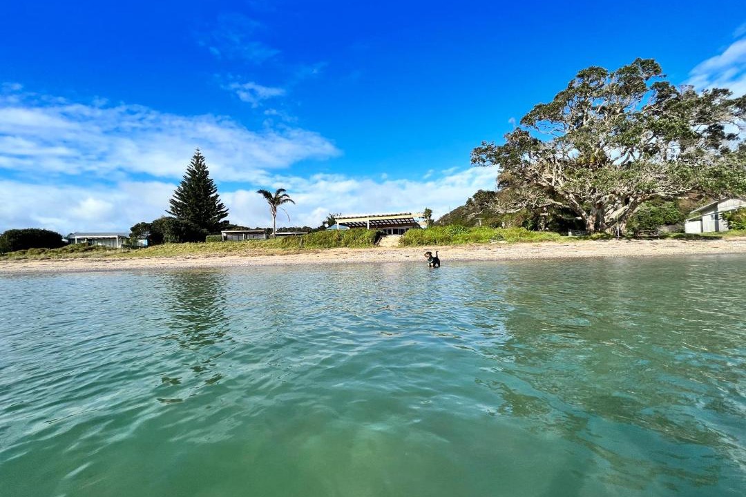 Photo of Others in Pataua