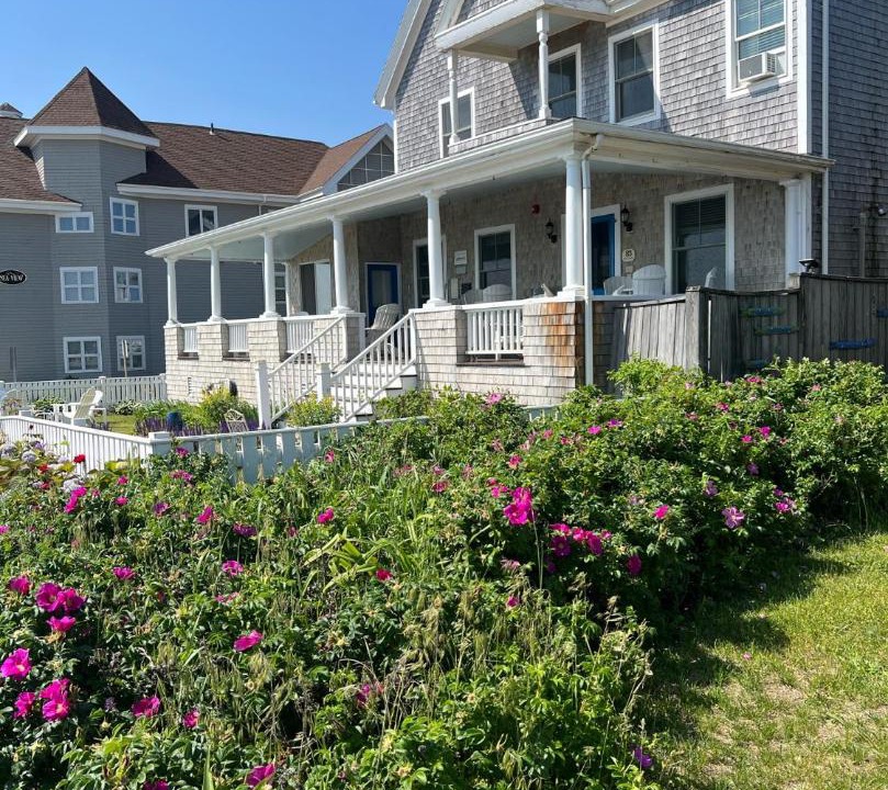 Photo of Others in Oak Bluffs