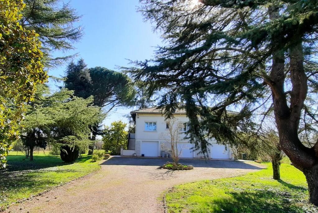 Photo of Others in Colayrac-Saint-Cirq