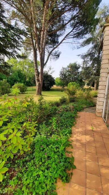 Photo of Others in Colayrac-Saint-Cirq