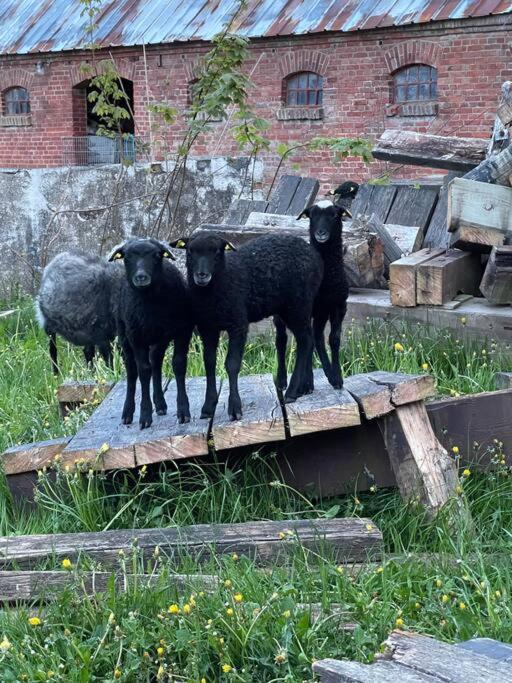 Photo of Others in Frederikshavn