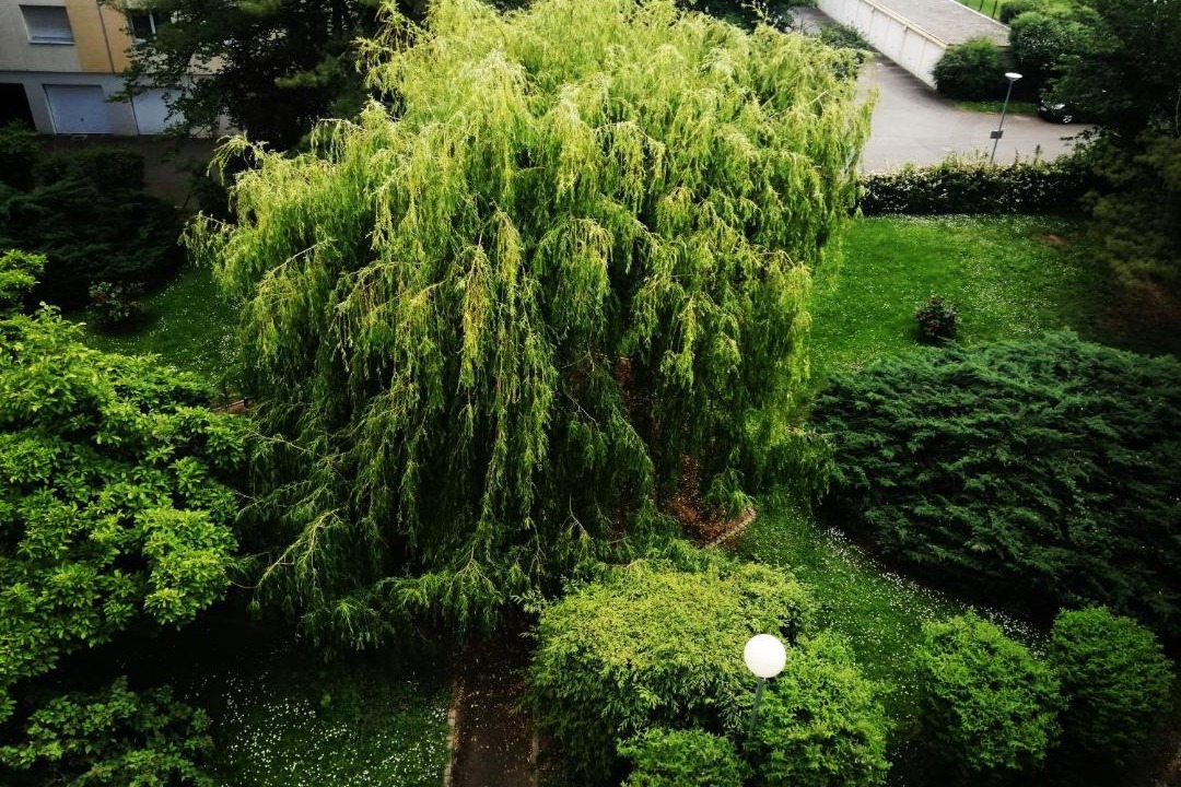 Photo of Outdoor in Illzach