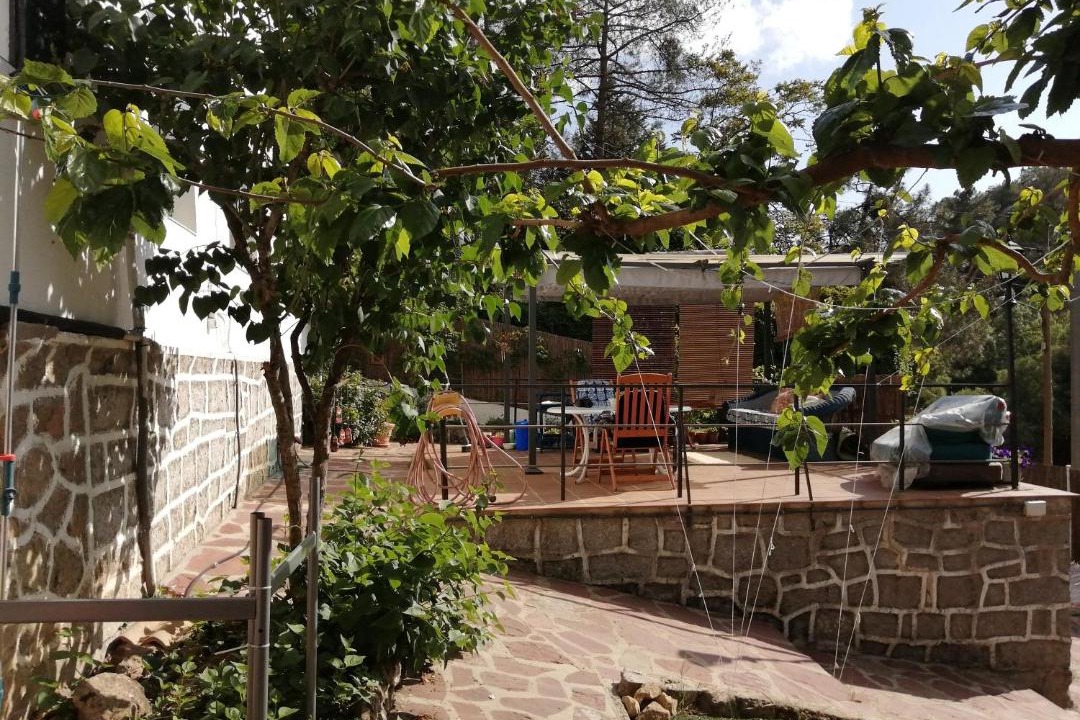 Photo of Others in El Pimpollar