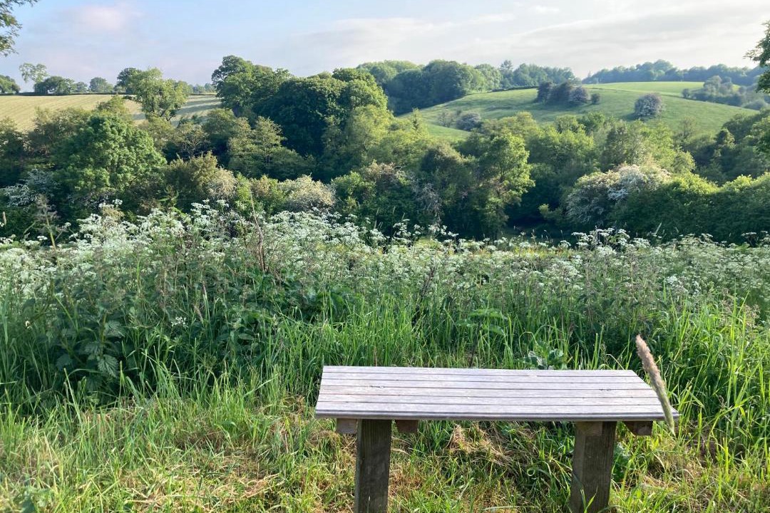 Photo of Outdoor in Overton-on-dee