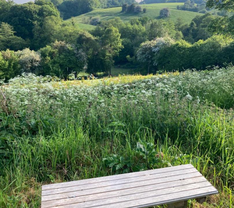 Photo of Others in Overton-on-dee