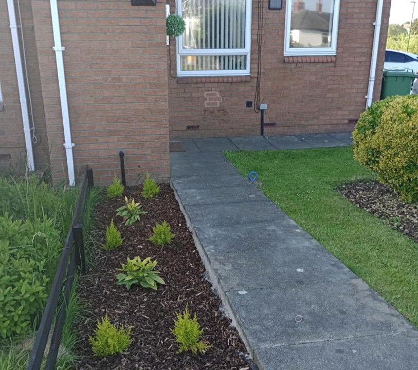 Photo of Others in Boldon Colliery